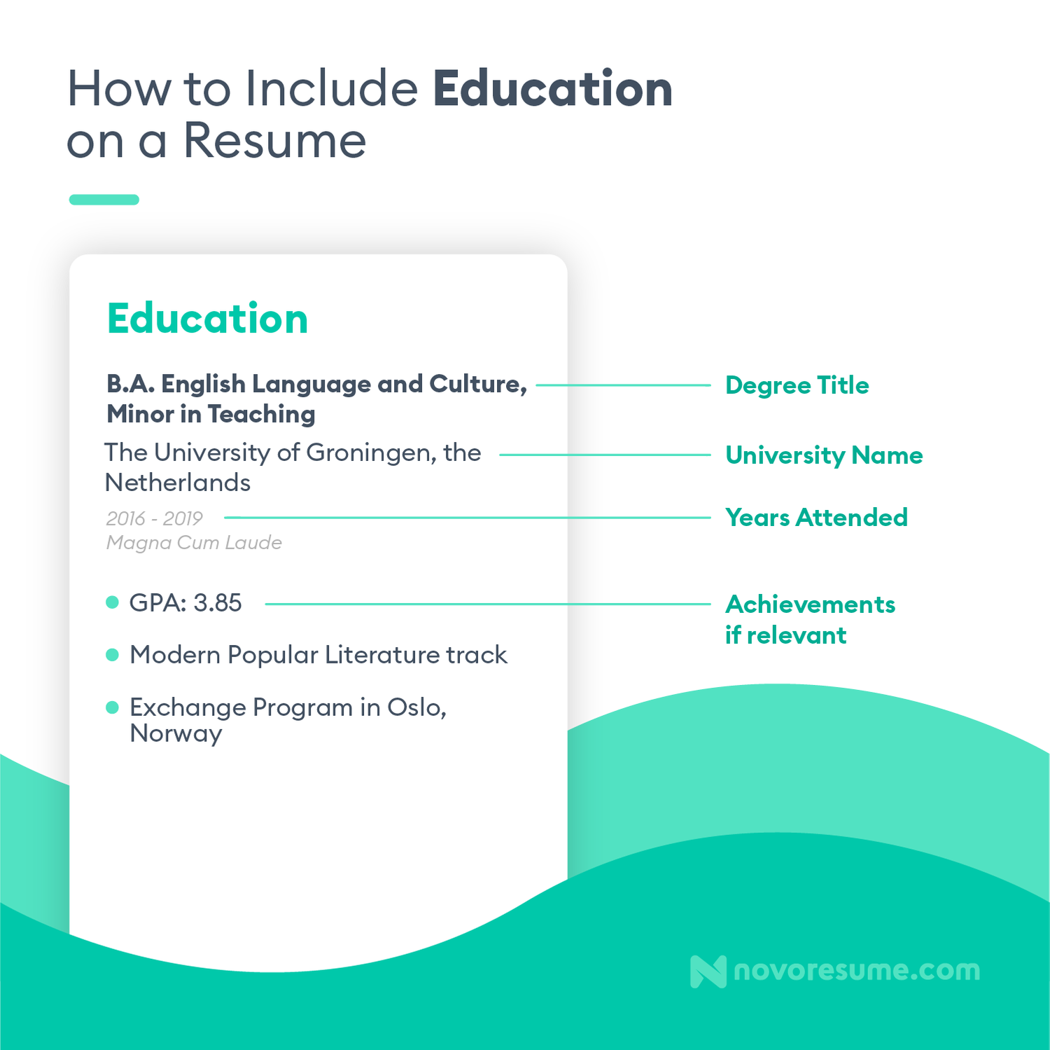 CV tips for recent university graduates Stunited News Feed