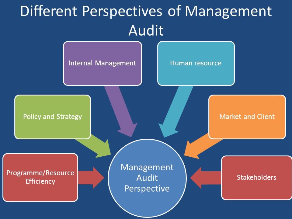 Management Audit Perspective. Programme/Resource Efficiency. Policy and Strategy. Internal Management. Human resource. Market and Client. Stakeholders.